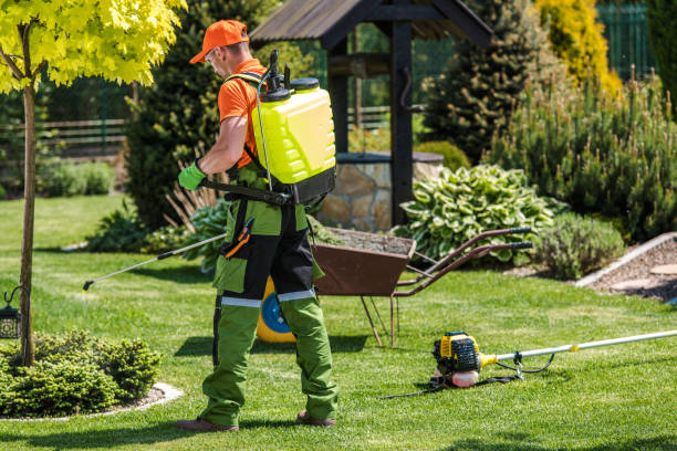 Best Outdoor Pest Control  in Lynden, WA